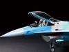 Tamiya Masterpiece Aircraft Series 106 Air Force Plastic Model Kit 61106 1/48 No. U.S. F-16C/N Aggressor/Adversary