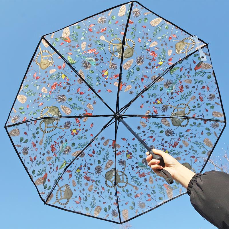 Dual-Use Automatic Transparent POE Umbrella - Xiaohongshu Style with Cats and Dogs Design