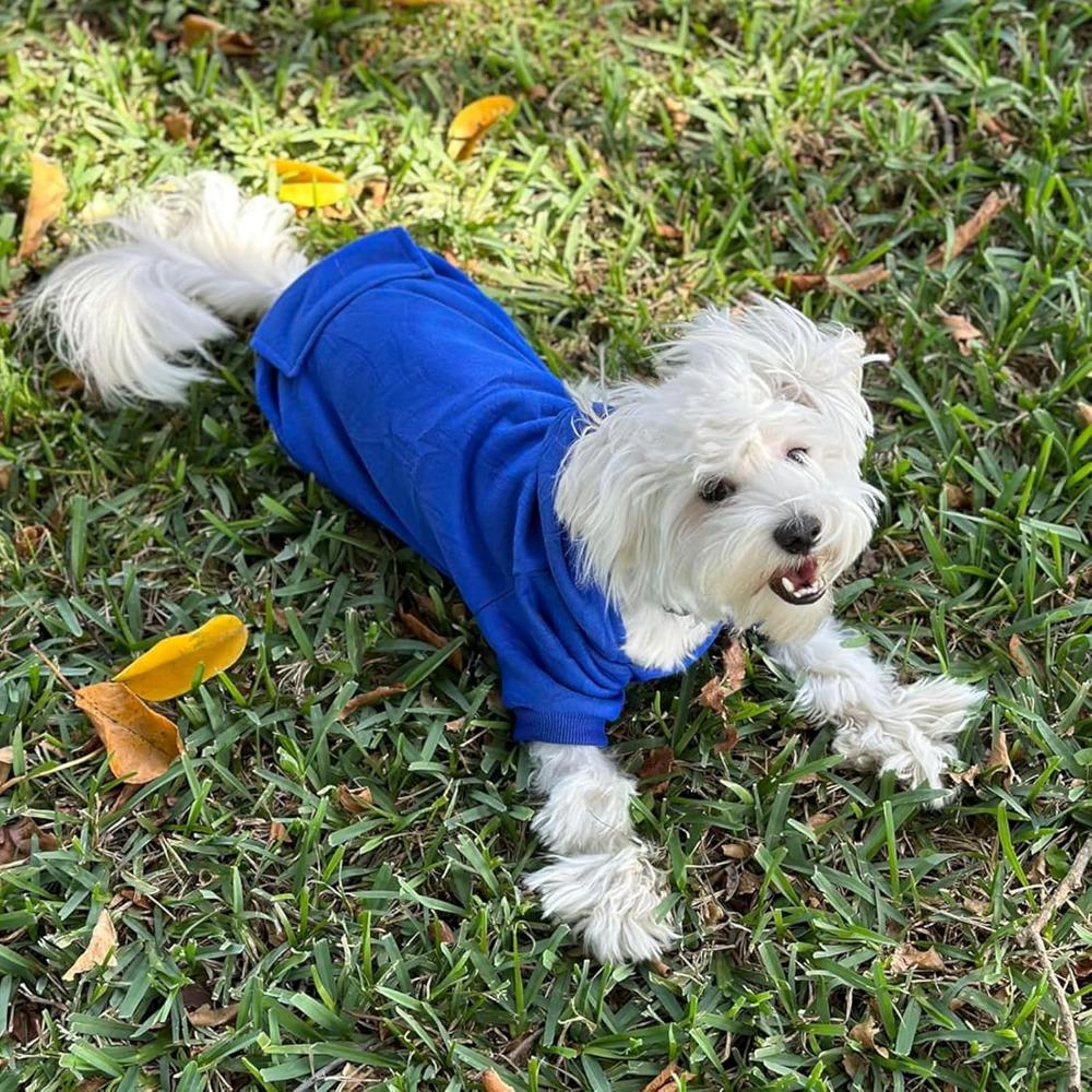 Pet Dog Cold Weather Jacket with Pockets Winter Dog Hoodie Warm Puppy Clothes for Large and Small Dogs Chihuahua Clothing, Sweet Gift for Cute Pets