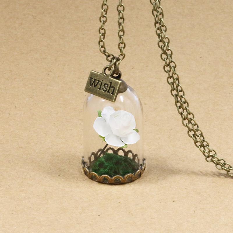 Beauty and The Beast Retro Glass Vial Necklace Butterfly Wish Accessories Necklace Red Rose Dried Flower Jewelry for Women Girls