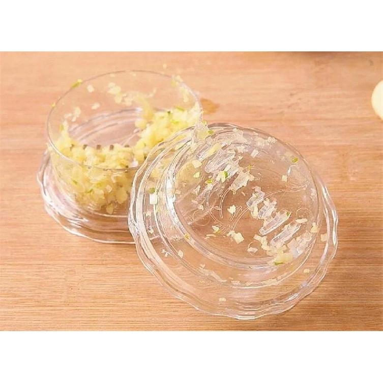 Kitchen Supples Garlic Crusher Grater Plastic Box Twist Peeler Mincer Press Kitchen Tool Ginger Kitchen Supplies Garlic Tools7