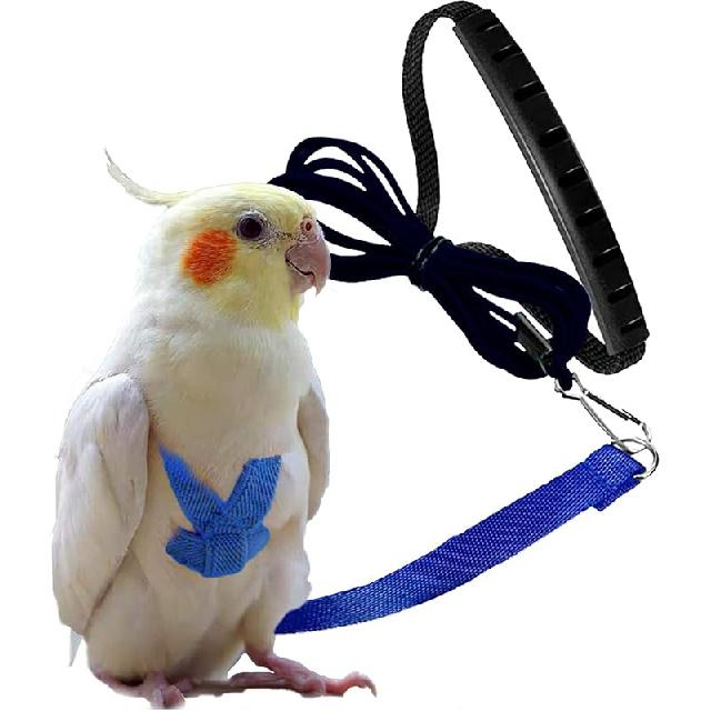 Dnoifne Smycz i Szelki dla Papugi Ptaka, Regulowany Design Treningowy Zapobiegający Gryzieniu, Ptasi Nylonowy Sznurek z Uroczy Skrzydłem dla Papug, Odpowiedni dla Szkarłatnej,