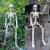 40cm Halloween Movable Skeleton Funny Simulated Human Skeleton  Bar Home Decor