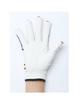 Golf Glove for Right Nail [Arnold Palmer] Women, Hand, Polish, APG-03HR WH/NV