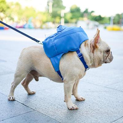 Haustier-Rucksack, Katzen-Welpen-Tasche, trendiger modischer Ausflugs-Rucksack, Ins-Stil, lustige Haustier-Hunde-Selbstrucksäcke