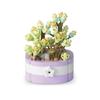 Flower Succulents Building Blocks Everlasting Flower Bonsai Tree Gardens Romantic Bricks DIY Potted Plants Model Kids Kits Toys