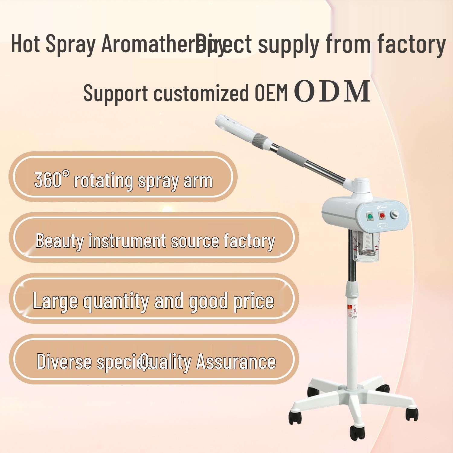 Facial Hydration Steamer Hot Mist Beauty Device 220V AU