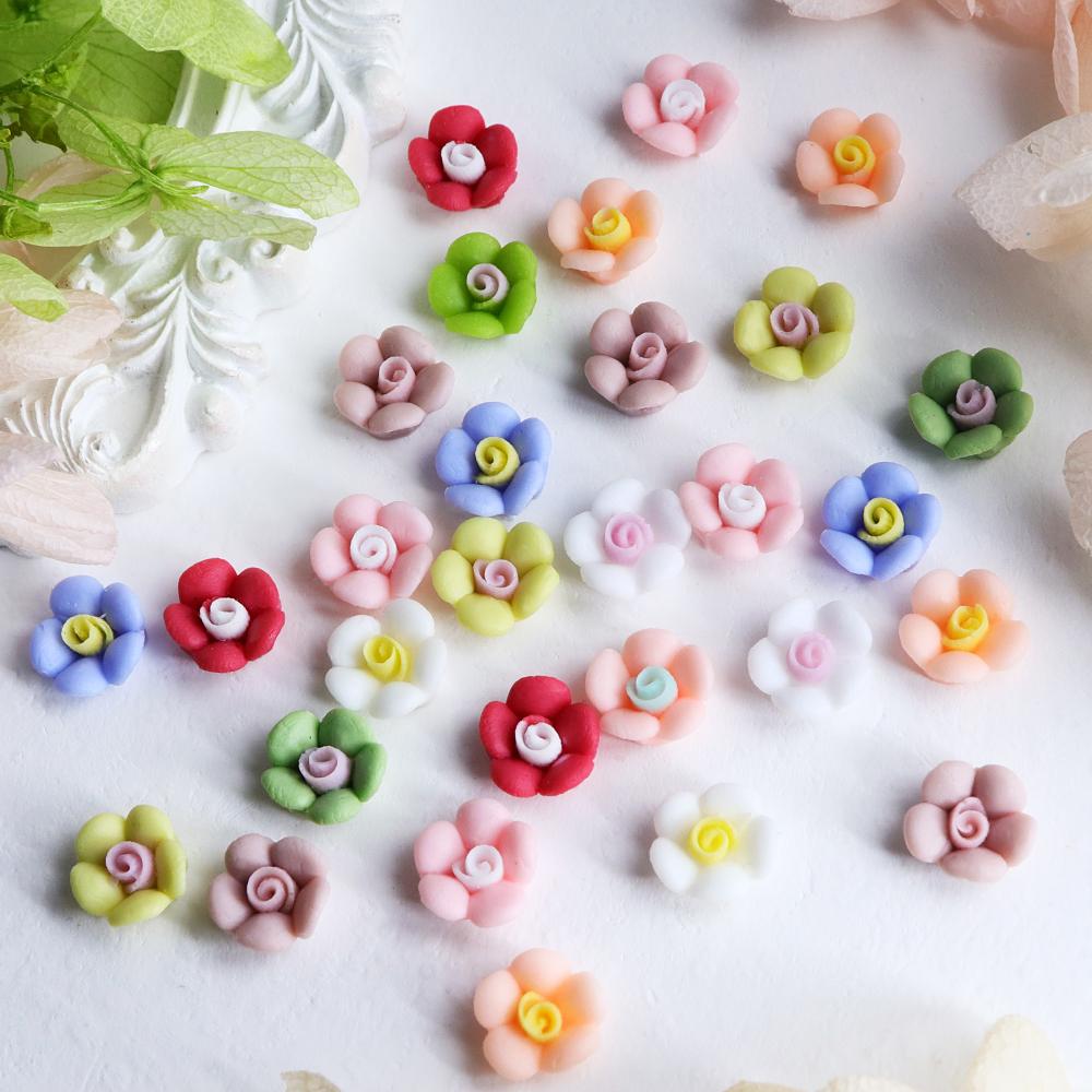 30 buc Farmece de Unghii Flori Suculente Multicolorate Decorațiuni Kawaii Florale Rășină Piese Coreene Nail Art pentru Consumabile DIY