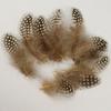 Yousheng 50Pcs Guineahen Feathers Natural Chicken Tail Feathers Bright Colors 4.5-10cm Feathers for Crafts DIY Earrings Dream Catcher Wedding Easter