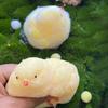 Chick Squeeze Toy Slow Rebound Soft TPR Stress Anxiety Relief Portable Kids Teens Adults Yellow Chicken Animal Squishes Sensory Fidget Toy