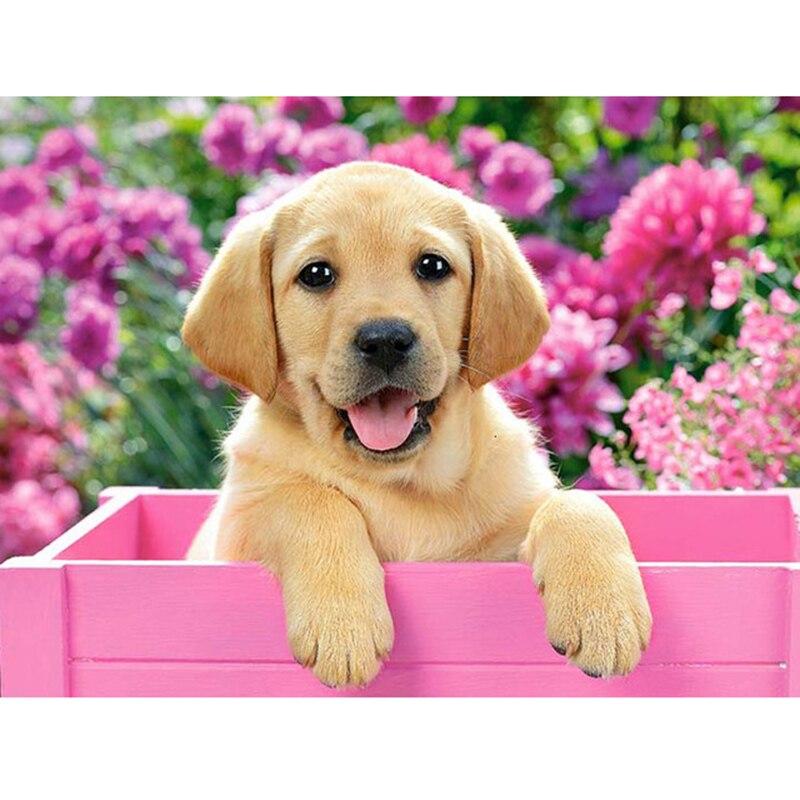 DIY pies 5D diamentowe malowanie w pełni z okrągłych wierteł haft diamentowy ze zwierzętami mozaika Rhinestone ścieg krzyżykowy ozdoby do dekoracji wnętrz prezent