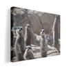 Art Panel Painting Decoration Igsticker 420mm X 297mm A3 Photo Wall Hanging Wooden Frame Interior Stylish 023560 Meerkat Animal Photo