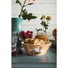 Moomin by ARABIA Classic Moominmamma 1057214 [Officially Imported] Bowl/Plate, 15cm, Marmalade,