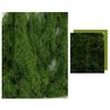 Artificial Plants DIY Landscaping Realistic Moss Indoor And Outdoor Use