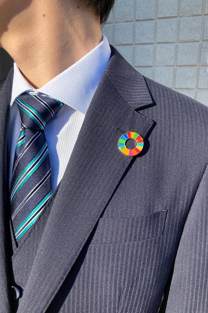 [Official UN SpecificationsInvoice System Compatible] SDG Badge, 25mm, Gold Rounded Finish, SDG Badge Pin, Perfect for Hats and Bags, Cute, Includes