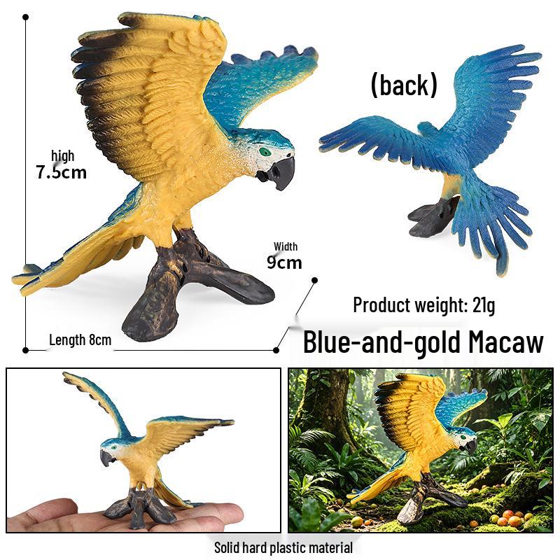 Kids' Bird Model Set: Toucan, Parrot, Ostrich, Peacock, Eagle, Pigeon, Owl.