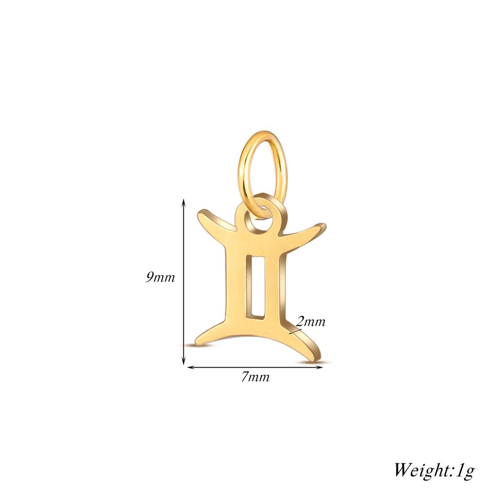 Wholesale 6pcs/lot 12 Constellation Zodiac Charm Pendant Stainless Steel High Quality DIY Jewelry Making Accessories