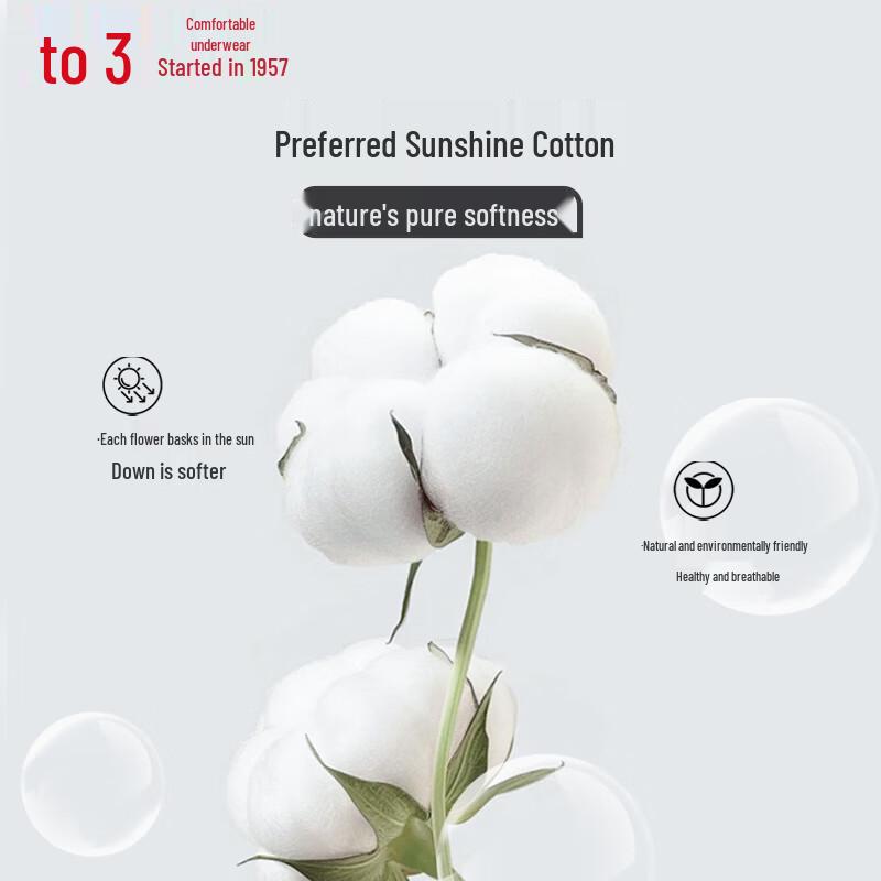 Hongdou Men's 7A Antibacterial Silk Crotch Boxer Briefs 4-Pack