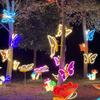 Dynamic Waterproof Outdoor LED Butterfly Tree Hanging Lights
