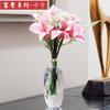 European Crystal Glass Small Vase, Fresh Tabletop Ornaments, Flower Plant, Transparent Bottle, Modern Home Decoration Accessorie