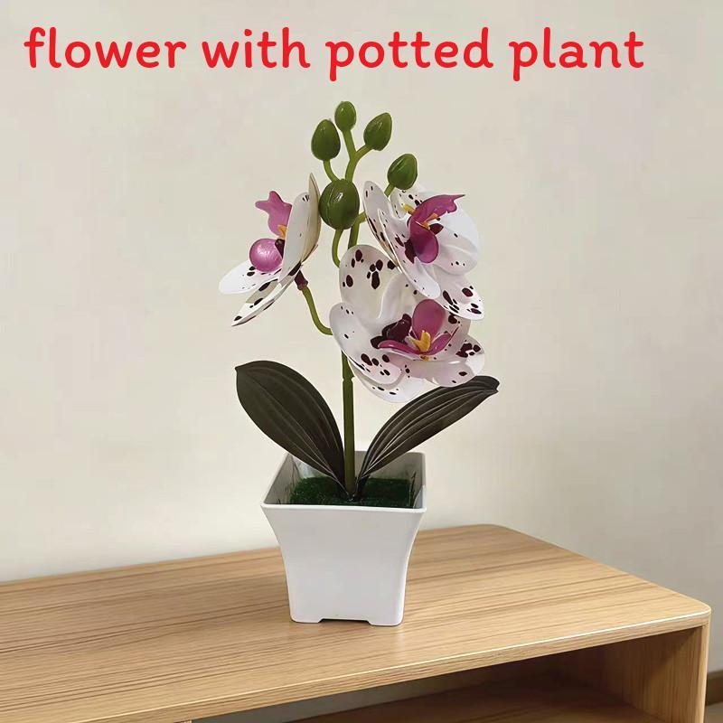 Butterfly Orchid Artificial Plant With Plastic Material For Home Decor And Photography Props