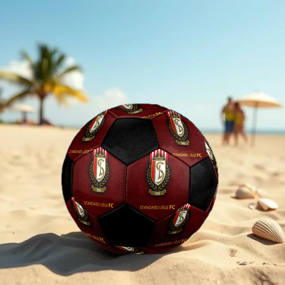 SIZE 5 Standard Liège Soccer Ball Colorful All Ages Machine Stitched PVC Competition Ready Durable High-Bounce