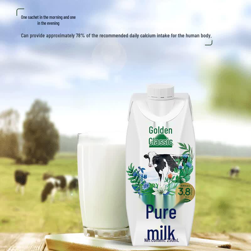 Yili Golden Classic Pure Milk