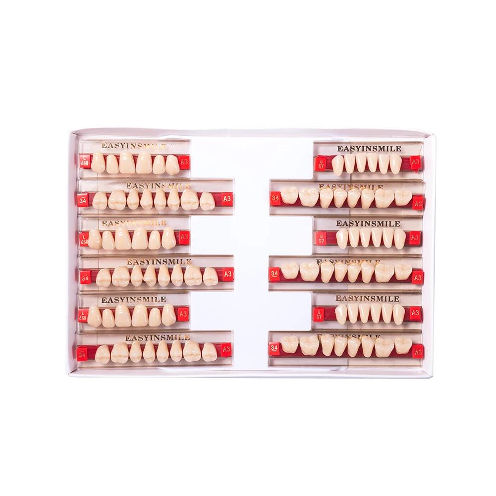16/12 Sätze/Karton Zahnprothese Zähne Oberkiefer Frontzähne Unterkiefer Seitenzähne Dentier Synthetisches Polymerzähne Zahnmedizinische Ausbildungsmodell