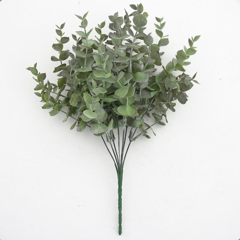 Eucalyptus Plant Globulus Foliage For Home Enhancement Photography Prop