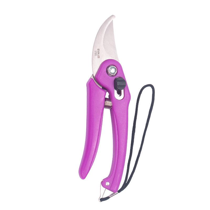 Садовые секаторы, Секаторы для прививки, Секаторы с клювом из нержавеющей стали, Садовые ножницы, Ножницы для цветов фиолетовый