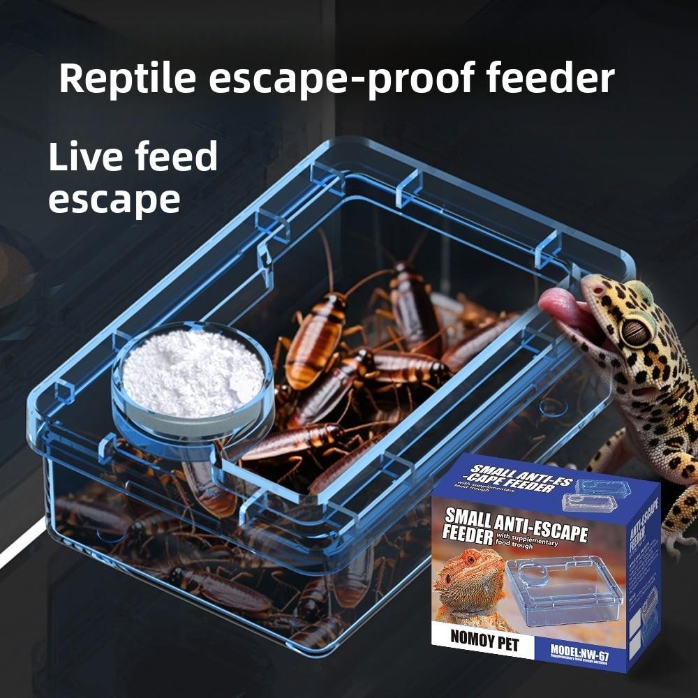 Reptile Lizards Geckos Feeding Bowls Anti Overturning Transparent Water Bowls Prevent Tenebrio Molitor and Blaptica Dubia