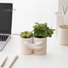 Boliginnredning – Dekorative blomsterpotter