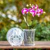 Plastic Transparent Flower Pot With Pan Thickened Small/Large Orchid Pot Hollow Transparent Flower Pot