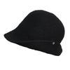 Zhang Jingyi Black Wool Tipped Brim Top Hat Women's Autumn and Winter Warm Versatile Face Small Retro Bucket Hat