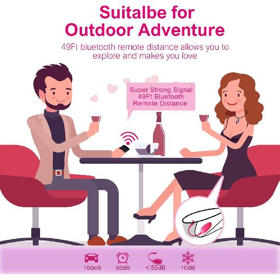 APP Remote Control G-spot Panty Vibrator, Pink Fun Long Distance Bluetooth Wearable, Rechargerable Adult Sex Toys More Than 10 Vibrations for Women