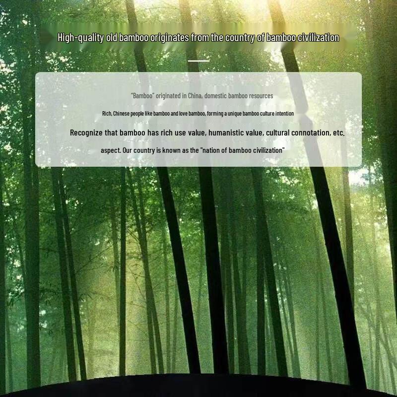 ZISIZ Bamboo Disposable Chopsticks