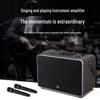 Huidu NB-400L Professional Portable Live Performance Speaker