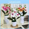 Plastic Potted Phalaenopsis Plants For Home Decoration And Props Photography