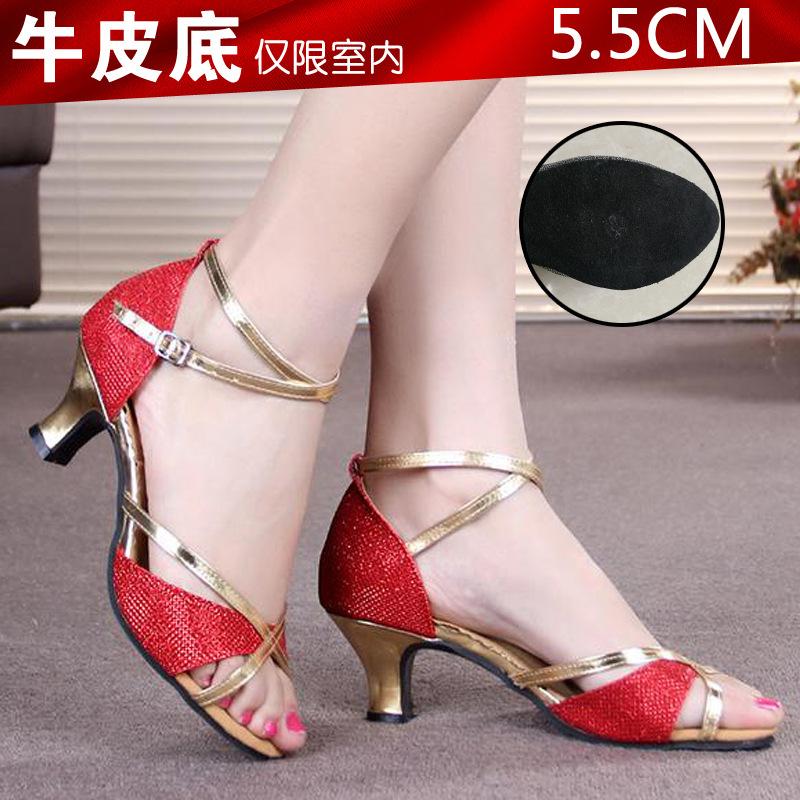 Women Hot Selling Ballet Tango/Ballroom/Latin Dance Shoes Heeled Salsa Professional Dancing Shoes for Girls Ladies 5.5cm