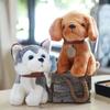 Puppy Husky Dog Plush Toys Golden Retriever Simulation Dog Plush Stuffed Dog Dolls  Kids Toy