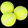 Dog Training & Teething Tennis Ball