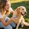 Hond blaf afschrikker, Oplaadbaar - Blafapparaat voor honden, Hond blaf controle apparaat, Groot bereik 10 meter, Vervangt pijnlijke halsbanden En Sto