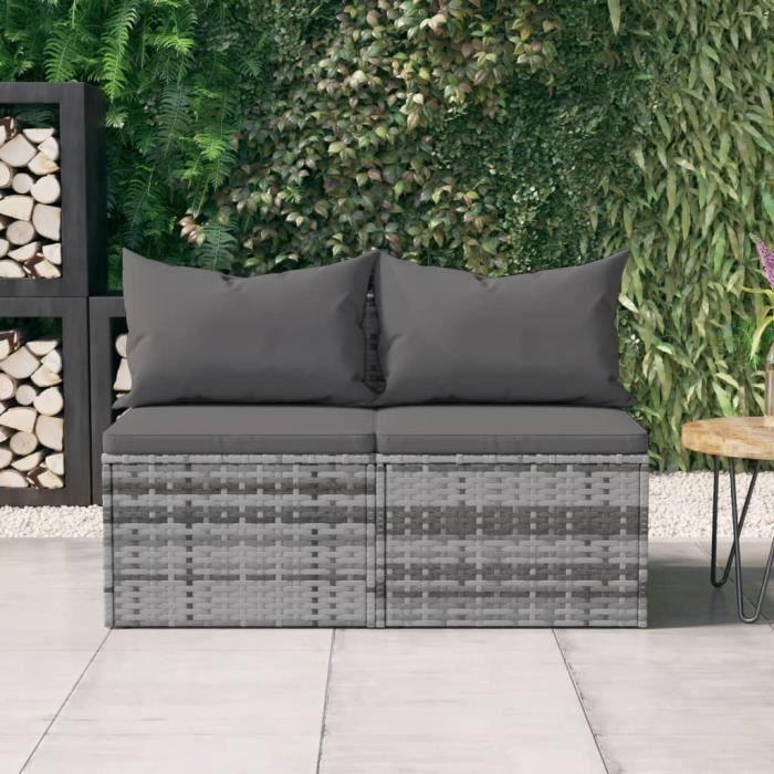 VidaXL Canapés centraux de jardin et coussins 2pcs Gris Résine tressée 362333
