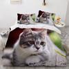 3D Cat King Queen Duvet Cover Lovely Grey White Kitty Bedding Set For Kids Teens Adults Scottish Fold Soft 2/3pcs Quilt Cover