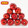 Haoxiangni First Grade Daily Pitted Red Dates
