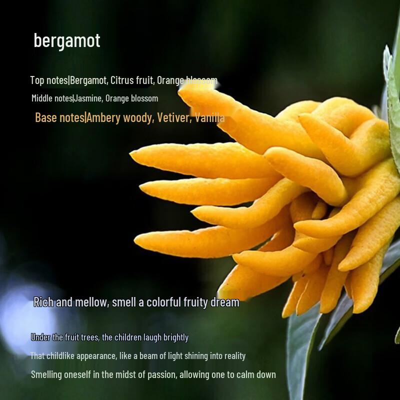 Tesori d'Oriente Turkish Essential Oil Nourishing Body Cream