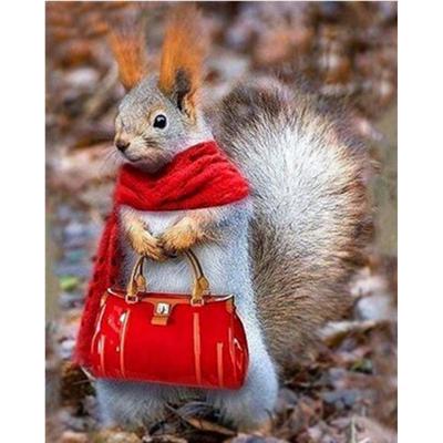 Full 5D Diy Diamond Painting Funny Squirrel Embroidery Cross Stitch Home Decor Handmade Gift