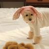 Cute Knit Rabbit Ears Shape Hat for Cat Christmas Party Pet Dogs Keep Warm Headwear Winter Halloween Cosplay Accessories