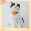 Adjustable Wool Necklace in Crochet for Dog and Cat, Kawaii, Flowers, Pet Neck Accessories, Puppy, Kitten, Scarf, Bow Tie, Pet Gift
