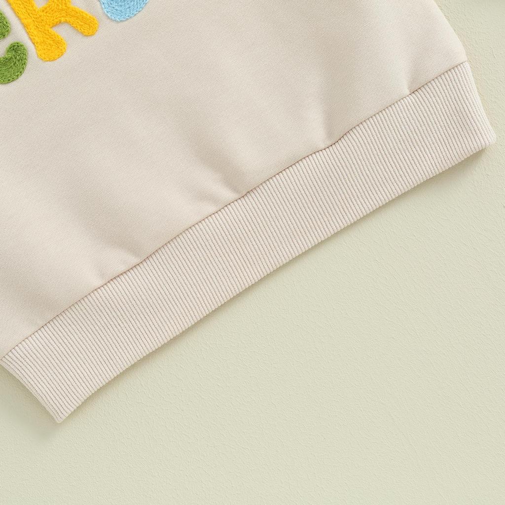 Kleinkind Baby Herbst Sweatshirt 24M 3Y 4Y 5Y 6Y Fuzzy Brief Stickerei Langarm Rundhals Pullover Lose Tops